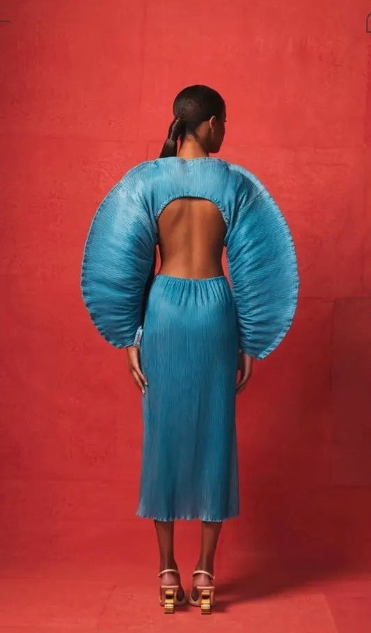 Blue butterfly backless dress