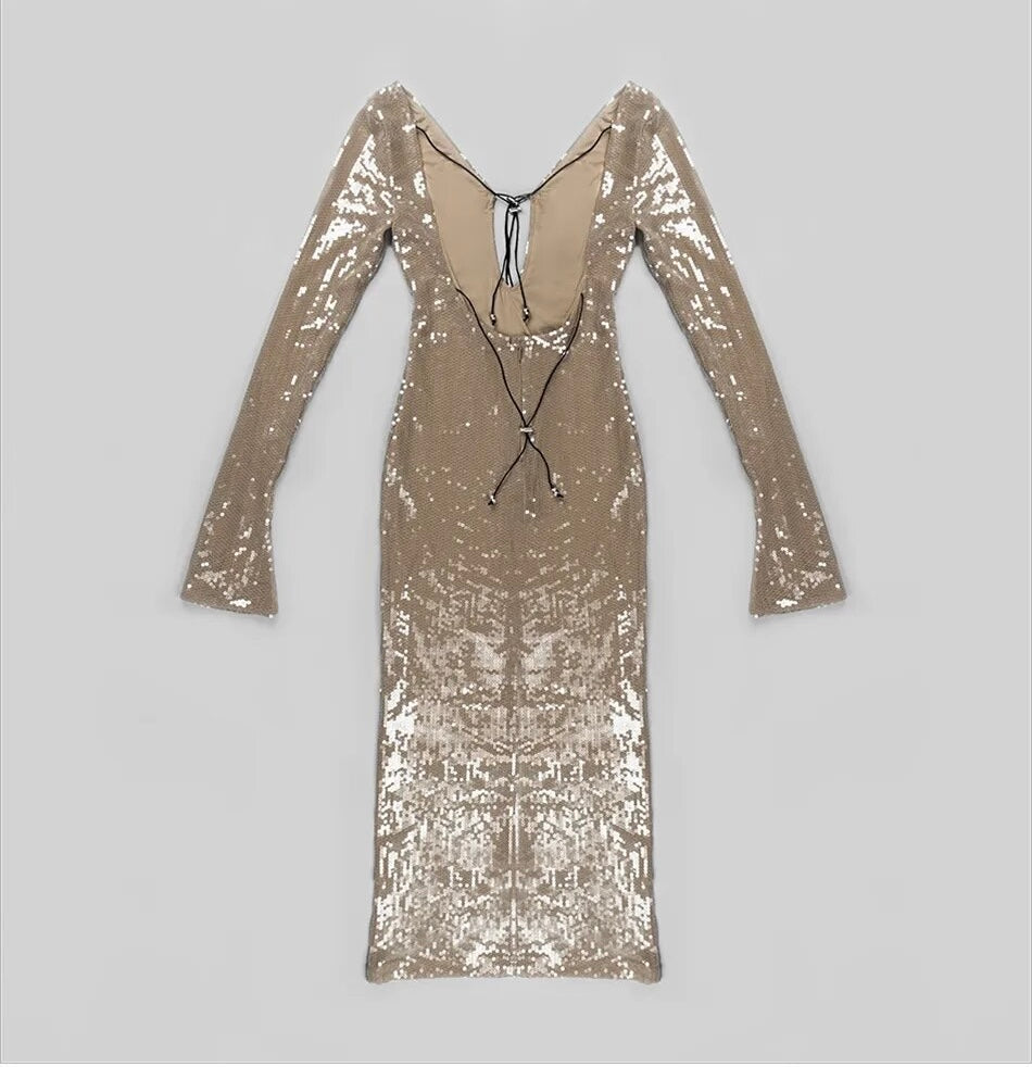 Mermaid nude sequiened dress