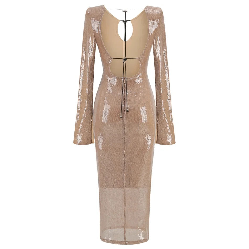 Mermaid nude sequiened dress