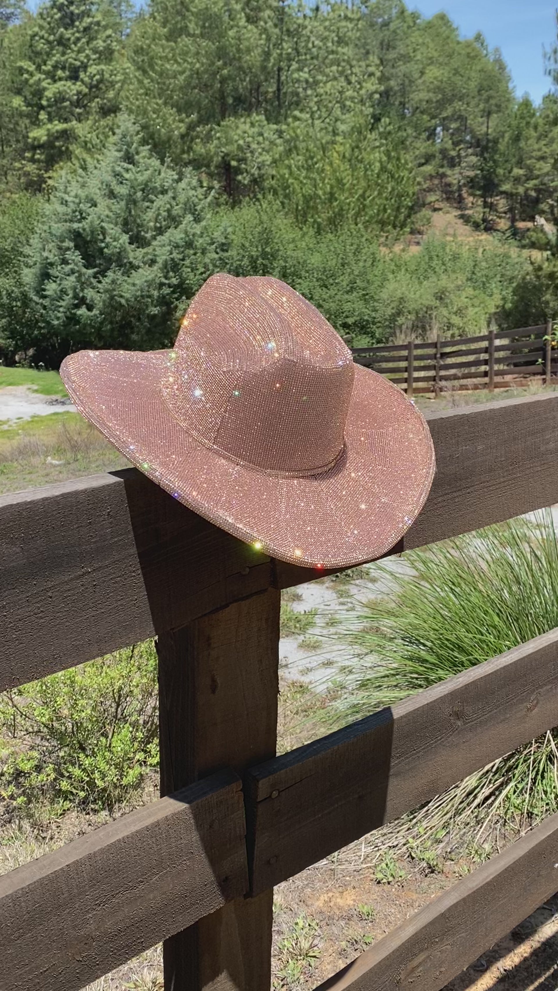 Tennessee Diamond Cowgirl