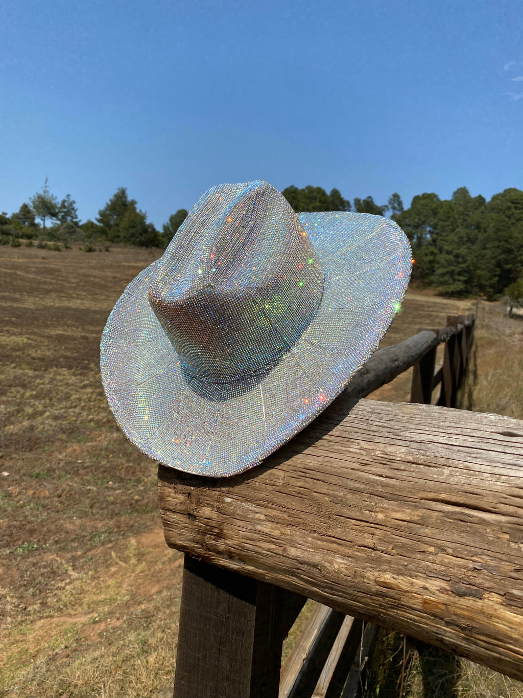 Nevada Diamond Cowgirl