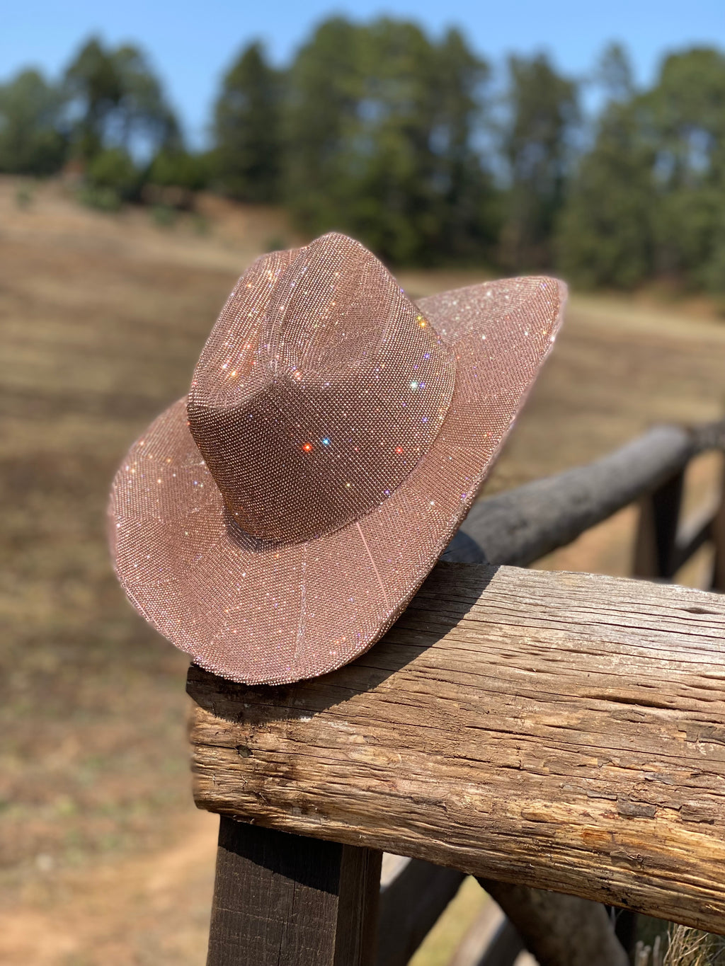 Tennessee Diamond Cowgirl