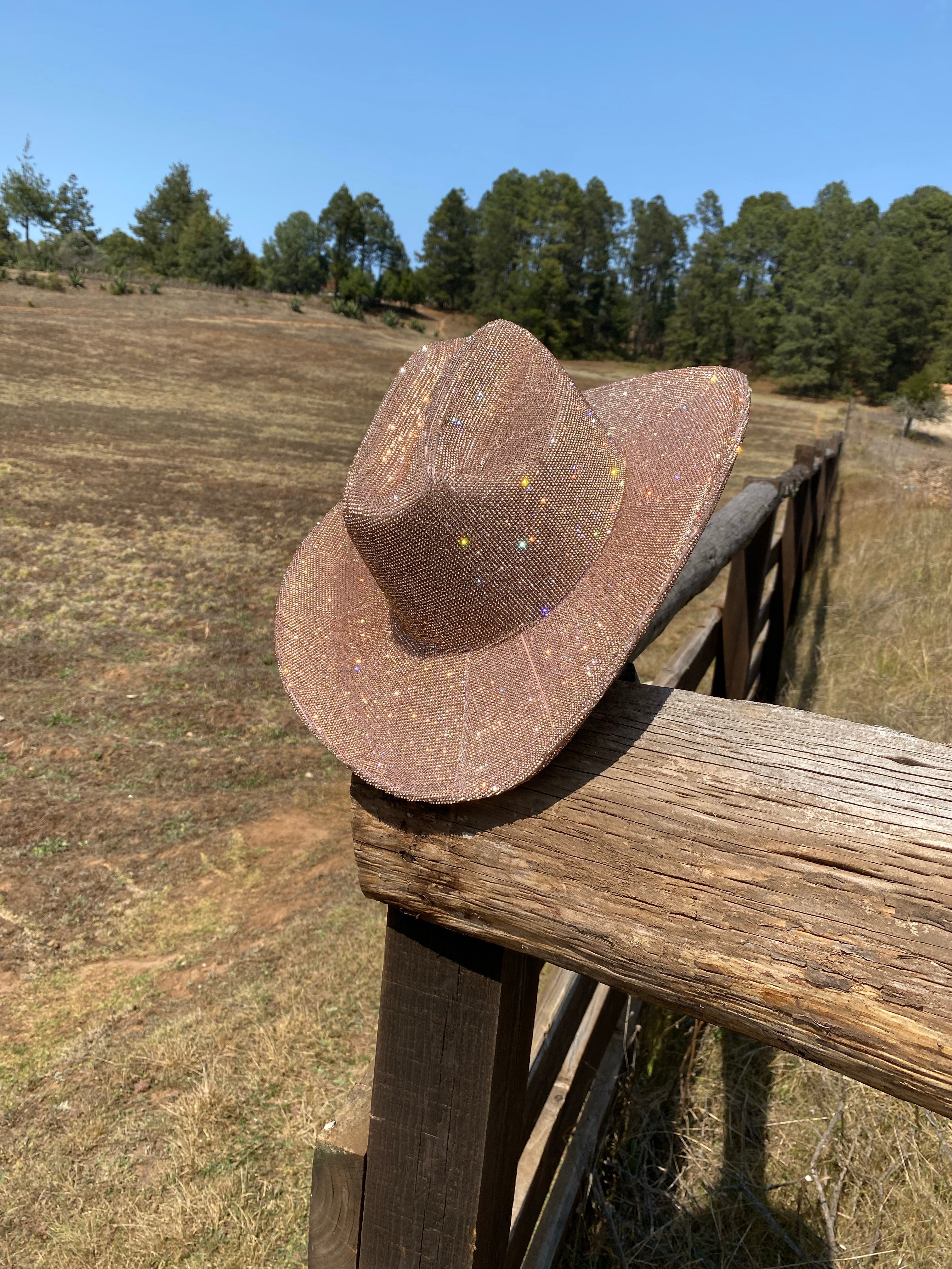 Tennessee Diamond Cowgirl