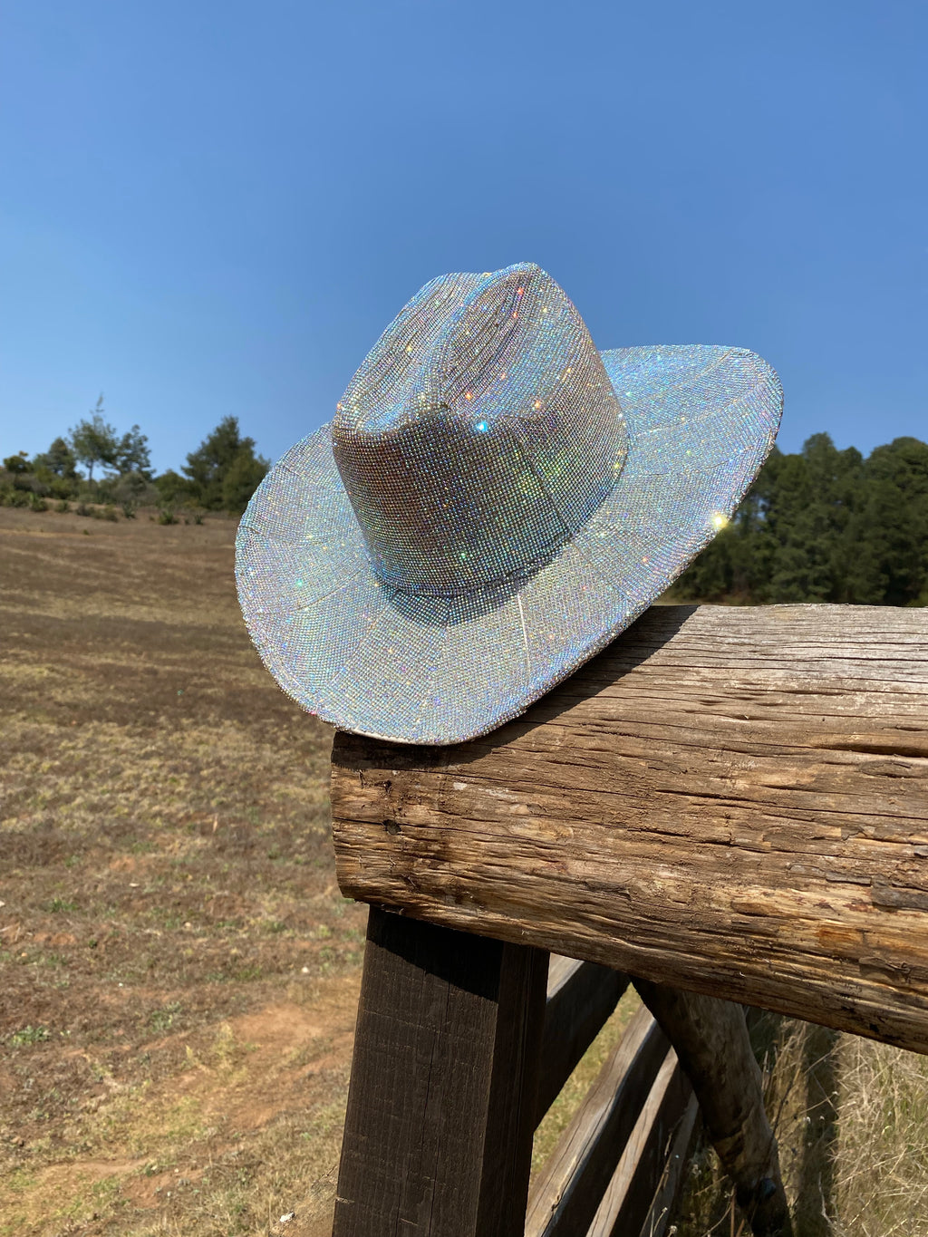 Nevada Diamond Cowgirl