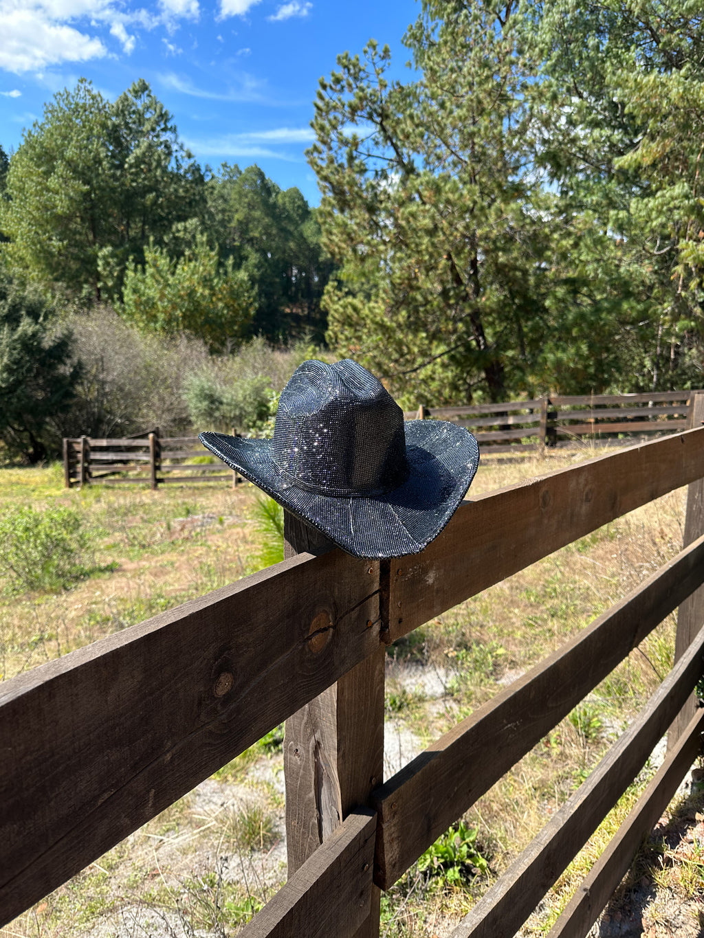 Montana Diamond Cowgirl