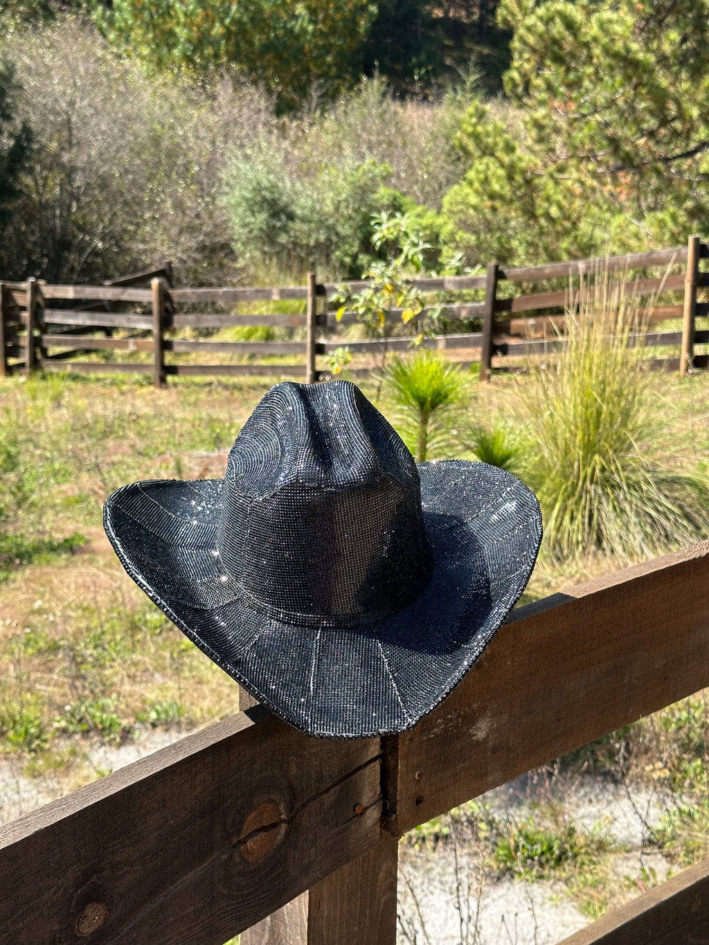 Montana Diamond Cowgirl