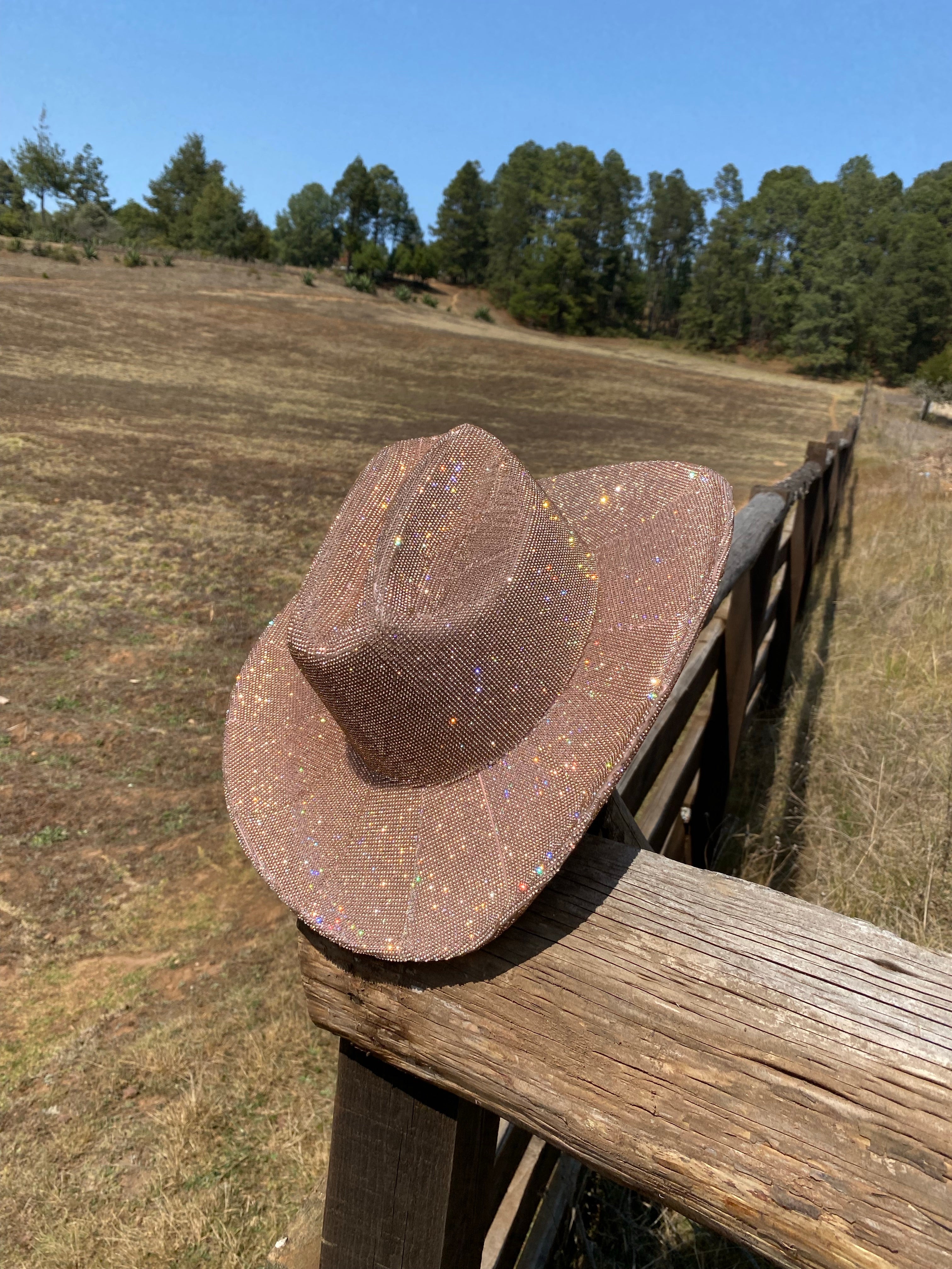 Tennessee Diamond Cowgirl