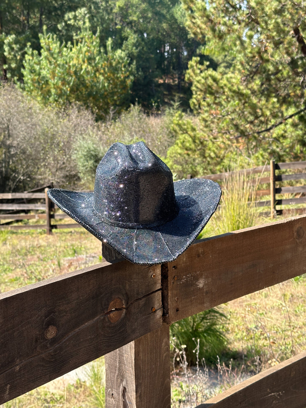 Montana Diamond Cowgirl