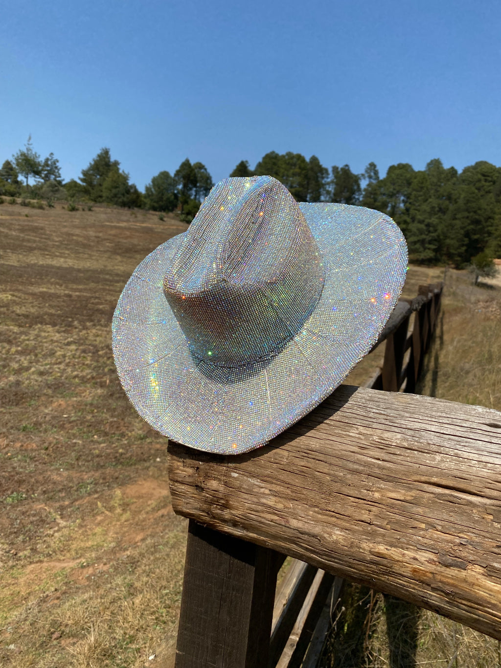 Nevada Diamond Cowgirl