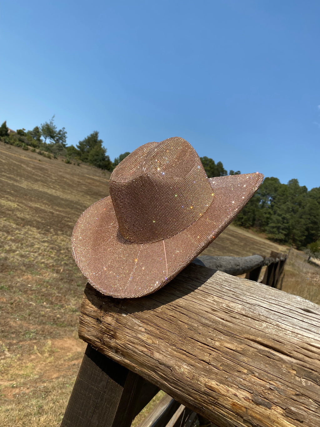 Tennessee Diamond Cowgirl