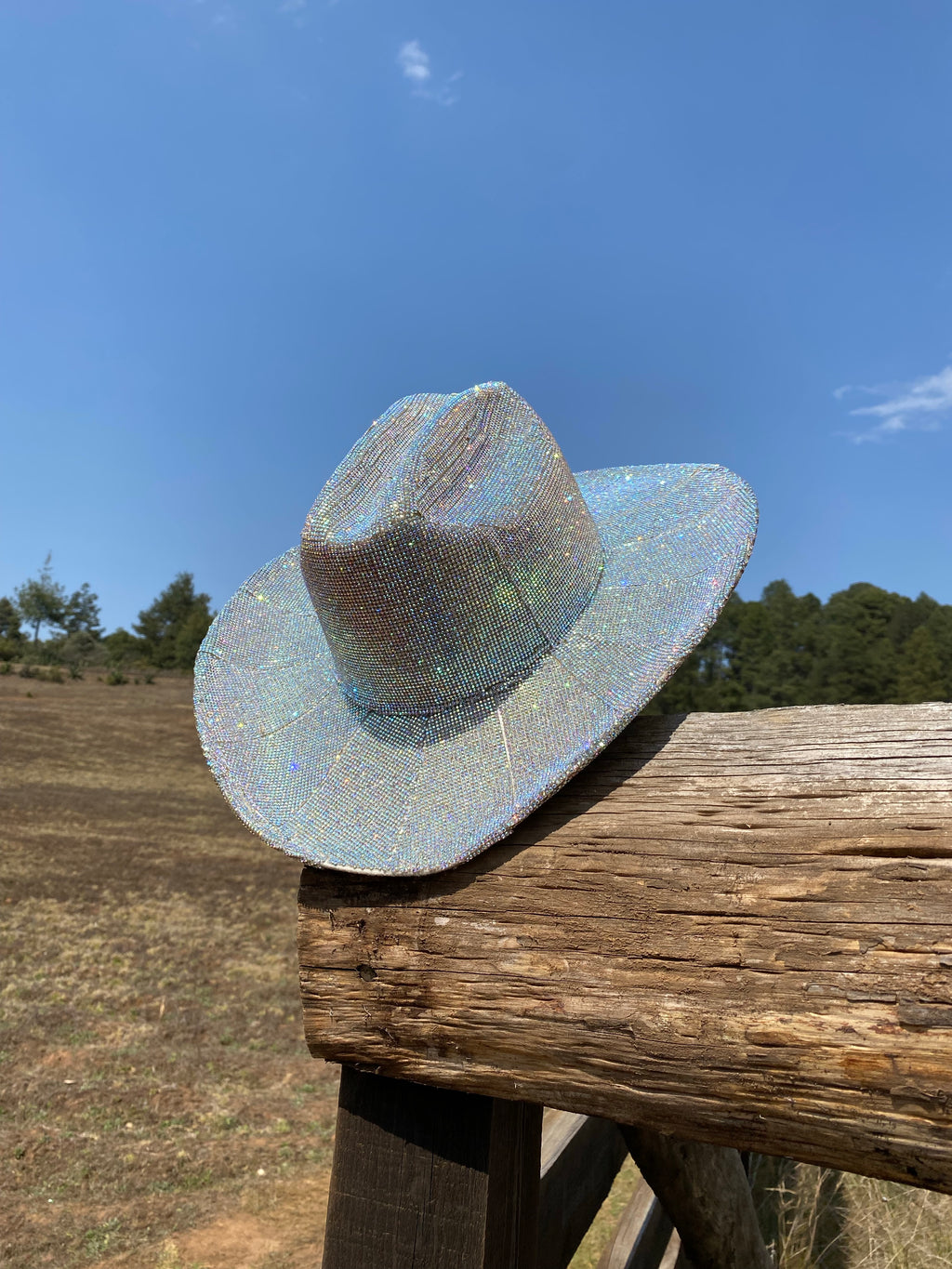 Nevada Diamond Cowgirl