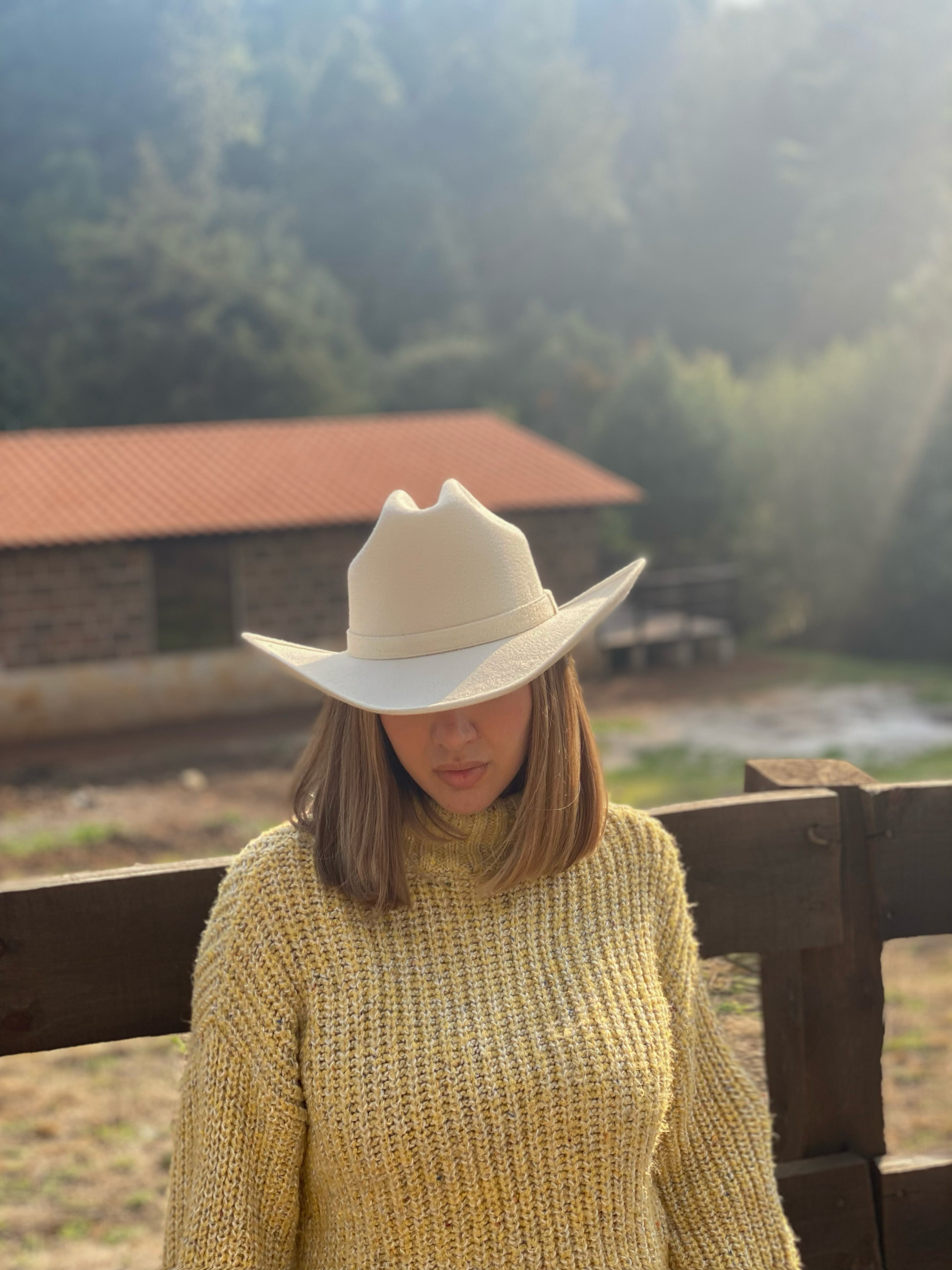 Texana Ostión